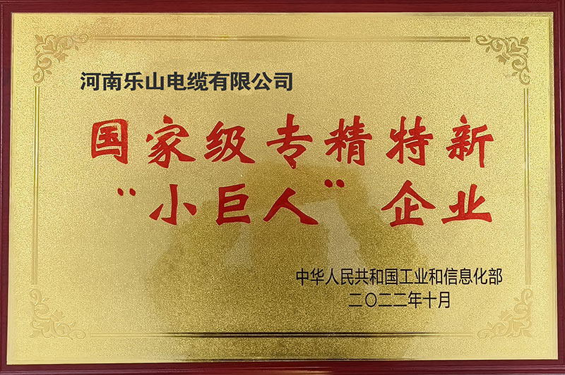 專精特新小巨人企業1.jpg